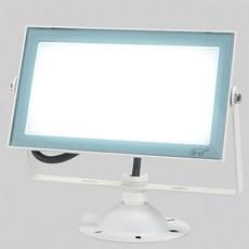 비츠온 LED 투광기 50W 화이트 + 주광색, 1개