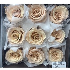 日本大地農園 03042系列永生玫瑰花 9輪不凋花 乾燥花材 花藝夢DIY, 100