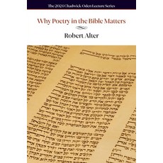 (영문도서)Why Poetry in the Bible Matters Paperback, Iccs Press, English, 9781624281037