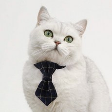 네오바트 격자 체크 강아지 고양이 반려동물 보타이 넥타이, 블랙체크, 1개