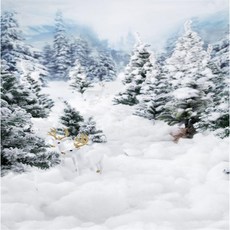 스튜디오배경지 유튜브 설산 설경 촬영 프레임, 1.5x2m, 1개, 진그레이