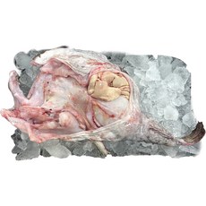 손질아귀 생아구(대) 3kg 생물아구 생아귀 아귀찜 아구찜 (조업 당일발송), 1개