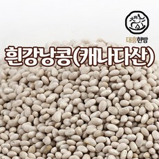 대흥한방 흰강낭콩 500g 캐나다산, 1개