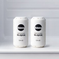 하나 탈취제 냄새 제거 김치 냉장고 냉동고 활성탄 악취 청소 숯, 54g, 10개