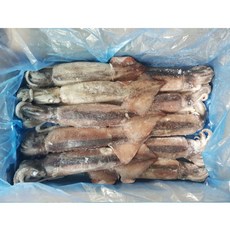 냉동 베이트 오징어 통오징어 3kg 10미, 1개, 3kg(10미)