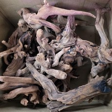 레인보우 부세유목 23-30cm, 1개