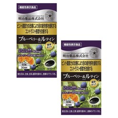메이지약품 블루베리 앤 루테인 소프트젤, 2개, 60정