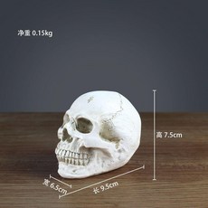 第2版 仿真頭骨美術生專用道具小號肌肉擺件藝用繪畫素描骷髏頭模型可拆, 小號連體款