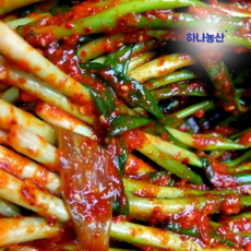 하나농산 쪽파김치 파김치 중국산 수입산, 1박스, 5kg