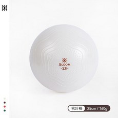 good 加厚防爆瑜伽球健身球器材塑形彈力球瑜伽小球白色, 清雅白