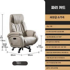 전동 마사지 가죽 사장용 의자 고급형 사무용 통풍 및 난방 기능 포함, AK_듀얼 모터 마사지 기능 블루투스 파리, 단일 모델