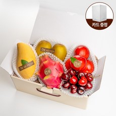 [올프레쉬] 프리미엄 제철과일 1호 5종 (자두 체리 외) 1.3kg이상 - 27년 국내 1호 과일소믈리에