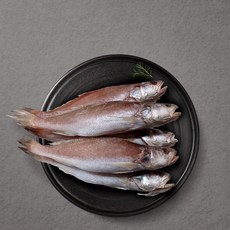 반건조 생선 골라담기 민어조기 침조기 서대 빨간고기 세트 모음 (망미중앙시장 부자생선)_, 민어조기 25cm 6마리, 1세트