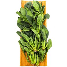 국내산 생 시금치 신선채소 잎채소, 1개, 1kg