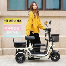 신형 접이식 전동차 2인용 소형 미니 성인 남녀 자전거 부모 자식 리 배터리 대리운전 대리보행 스쿠터, 1개, 48V 2인용 리튬 400W 8A 30마일, 단일 모델