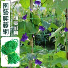 塑膠網 防鳥網 圍籬網 園藝 攀爬網, 綠色18股0.9*1.8米 普通款, 1個