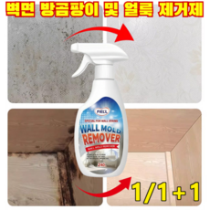 1/1+1[살균률99%]벽면 방곰팡이 및 얼룩 제거제 초강력 곰팡이 제거제 멀티 미스트 냄새없는 곰팡이제거제 다양한 장소에 적용 가능 빠르게 제거/사용이 간편, (1+1)240ml*2