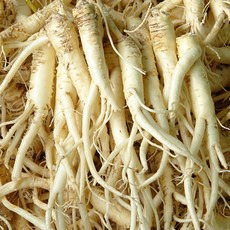 진생마트 국산 싱싱한 약도라지, 1개, 세척약도라지 (중/대)