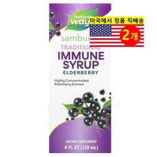 Natures Way 네이처스 웨이 삼부커스 표준화된 엘더베리 오가닉 시럽 Sambucus Elderberry, 2개, 120ml