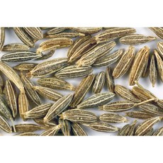 孜然 純精油 Cumin - Pure Essential Oil, 1個, 150ml