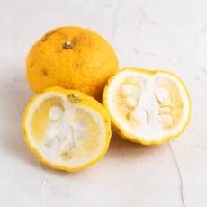 [새벽농장] 자연재배 고흥 햇 유자 생과, 1개, 못난이 10kg