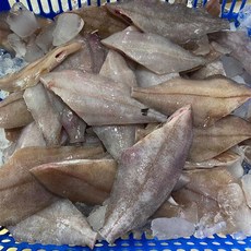 세꼬시x3 (Araium), AI_01 세꼬시*3