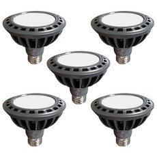 두영조명 LED 램프 PAR30 확산형 레일등 15W, 5개, 주광색