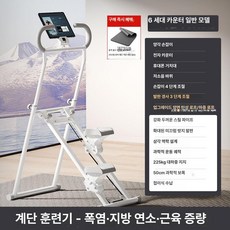 뚜뚜상점가 스텝퍼 운동기구 가정용 유산소, 6.6세대 디럭스 충격 흡수 매트 휴대폰 거치대 화이트