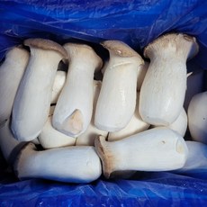 버섯 새송이버섯 못난이 상 2kg 내외, 1개