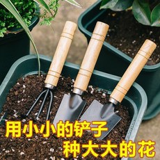 園藝工具套裝 室內綠植花園小剷子耙子組合 結實耐用 WFMT3GT01A, 1個, 【首單直.降】今日特價#A999,多肉適用【小/號細桿】3把/套