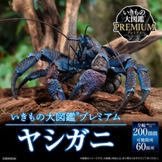 BANDAI 日版 生物大圖鑑 椰子蟹 扭蛋 蛋樂寶, 1個