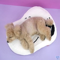 담아잇 패리스독 스누피 베드방석 강아지자동차방석