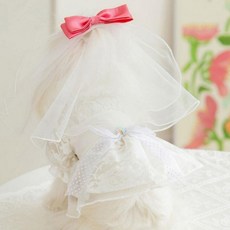 강아지 웨딩드레스 화동 원피스 레이스 꽃무늬 촬영 의상 세트, 1개, 01-드레스베일세트-S