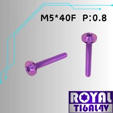 ROYAL TIGALAV 鈦合金螺絲 M5*40F P:0.8 飛碟頭螺絲, 1個