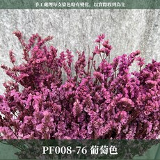 CANLONGER FLOWER 水晶花，居家裝飾花材，晶瑩剔透，約70公分長, 76葡萄,原裝(超取會修剪適合裝箱尺寸), 1個