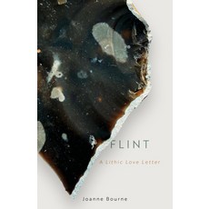 (영문도서) Flint: A Lithic Love Letter Hardcover, Eye Books, English, 9781785634086