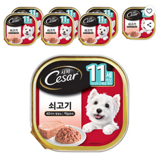 시저 11세 이상 시니어 강아지 주식캔, 소, 100g, 8개