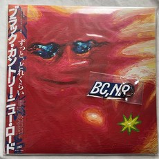 Black Country New Road Howlong 黑膠2LP 日本首版 限量300張, 如圖, 詳見包裝