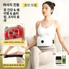 복부 마사지기 허리운동기 다리 마사지 트레이닝 휴대용 복근강화기 허리 제품 기본 선물, 3. 충전식 아르테미시아오일 2개 진동마사지