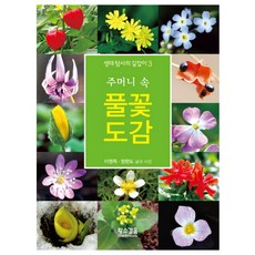 口袋裡的野花圖鑑, 李永得, 黃牛步伐