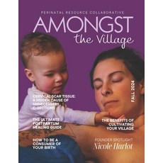 (영문도서) Amongst the Village Magazine: Fall 2024 Paperback, Independently Published, English, 9798338993989