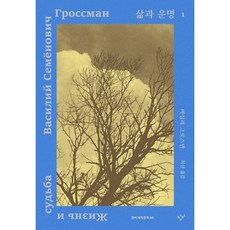 [창비] 삶과 운명 1 (창비세계문학 98) [따뜻한책방], 창비
