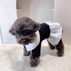 톤온펫 강아지 코스튬 옛날 교복 복고풍 할로윈 원피스, 1개