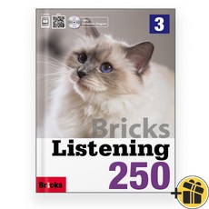 Bricks Listening 250 Level 3