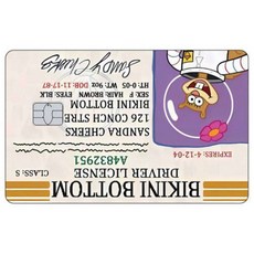 카툰 운전면허증 신용카드 스킨 패트릭 스타 스티커 패치 은행카드 무광 데칼 장식 선물, No Chip, 6 1PCS