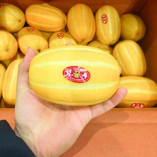 당도선별 고당도 가정용 성주참외, 1개, 5kg (랜덤과)