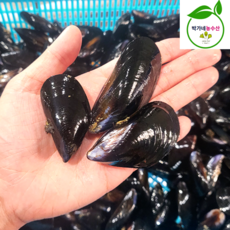 여수 통영 자연산 제철 홍합 1kg 세척, 1개, 여수통영 홍합1kg(90미내외)