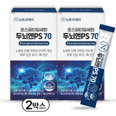 뉴트리케이 두뇌엔 PS70 인지력 포스파티딜세린 분말 식약청인증, 30개, 2g