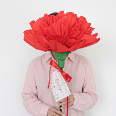 로나파티 카네이션 만들기 꽃 코사지 어버이날 대형 조화 부모님 선물, 1개, 대형 카네이션 만들기 키트