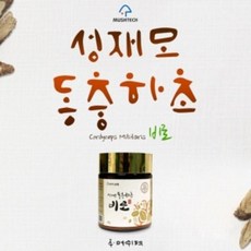 [성재모동충하초] 비로
